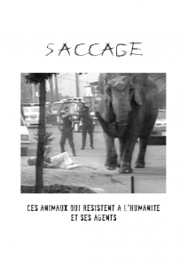 Saccage_front2